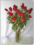 A traditional presentation, this is the perfect gift to send any time of the year. Double dozen long stemmed roses, arranged in a striking glass vase with greens.

