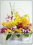 This lovely wicker basket combines multi colour shades of orchids with greens. It is great gift for any occasion and sure to brighten anyone"s day! 

