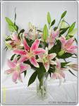 Lilies have long been a sweet and wonderful way to warm anyone"s heart. A vase of 12 branch Stargazer lilies is a sophisticated gift that is appropriate for any occasion.
