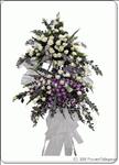 The beautiful color of the flowers in this spray will sweetly express your feelings of sympathy.The delivered stand is 1.8m high