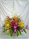 So bright and cheerful, it will make any birthday more joyous no matter which one.
A multicoloured freshly cut orchids are beautifully arranged with greenery and fillter in a handle basket. 